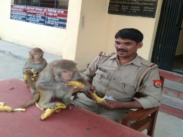 सभी करते हैं मिट्ठू की देखभाल