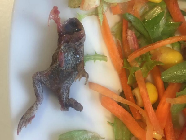 सोशल मीडिया पर डाली तस्वीर