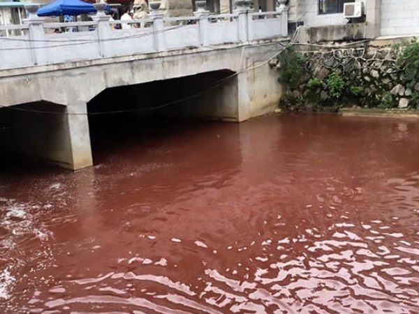 अचानक से बदलने लगा नदी का रंग
