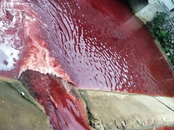 पानी से आने लगी बदबू