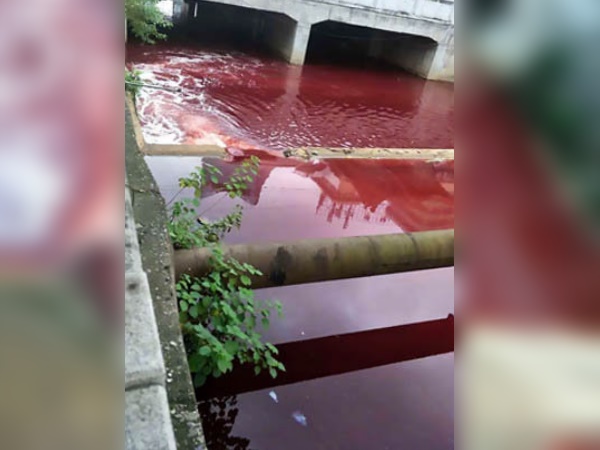 दिनभर की मेहनत के बाद साफ हुई नदी