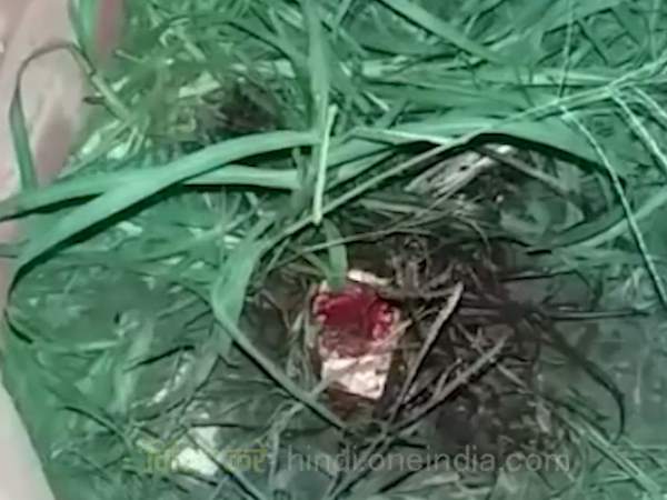 दो पक्षों के बीच हुई मारपीट