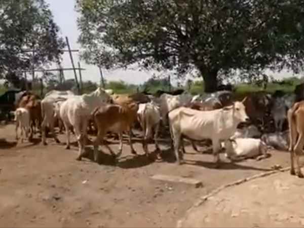 25 लाख खर्च करती हैं महिला