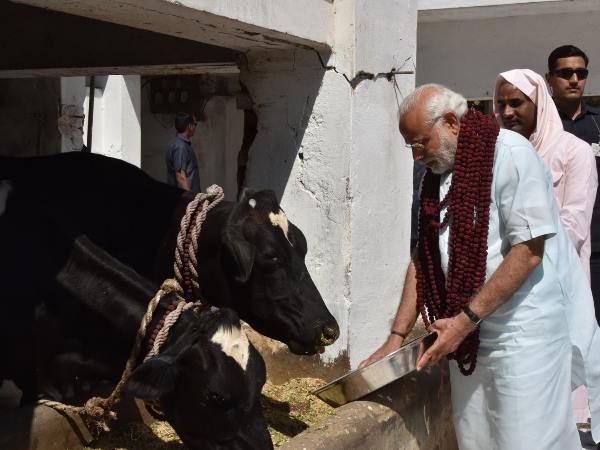 ये है वजह... ये है वजह...