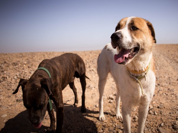 नगर निगम के खिलाफ होगी कार्रवाई नगर निगम के खिलाफ होगी कार्रवाई