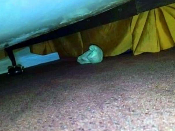 बुलाई रेस्क्यू टीम