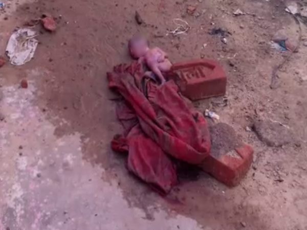 VIDEO: अस्पताल परिसर में पड़े नवजात के शव को खा रहे थे कीड़ें VIDEO: अस्पताल परिसर में पड़े नवजात के शव को खा रहे थे कीड़ें