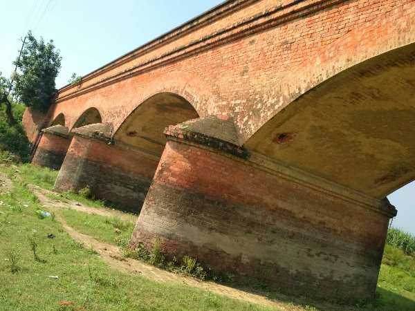  Fall from 40 feets, neither child injured nor horse scratched