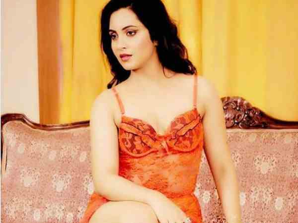 अर्शी पहले भी भिड़ चुकीं