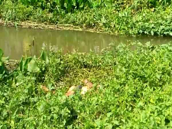 नाले में मिला शव