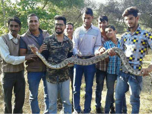 सांप को छूकर बता देता है जेंडर