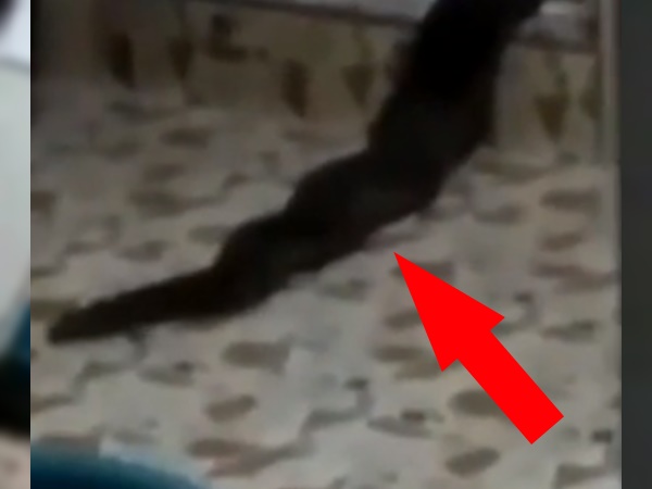 दोनों ने पकड़कर नदी में फेंका