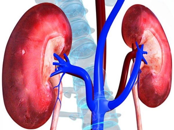 सीटी स्कैन में हुआ खुलासा