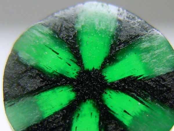 मूंगे की जांच