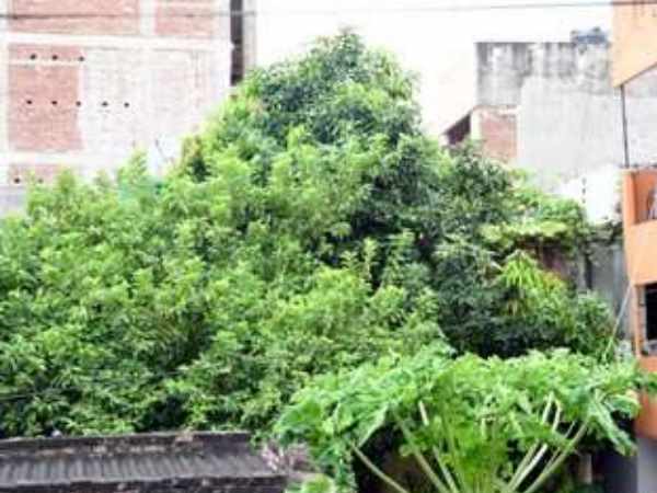 तस्वीर को देख उड़ गए होश