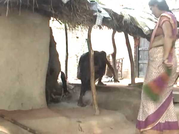 एक शौचालय के लिए मोहताज