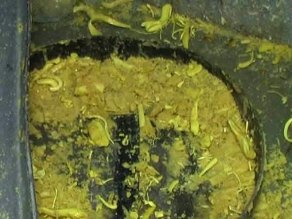 कारखाने में मिली भारी गंदगी