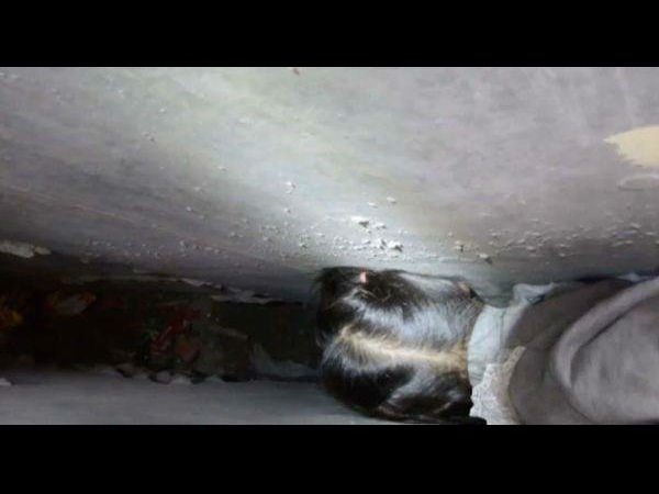  दो दीवारों के बीच फंसा सिर 