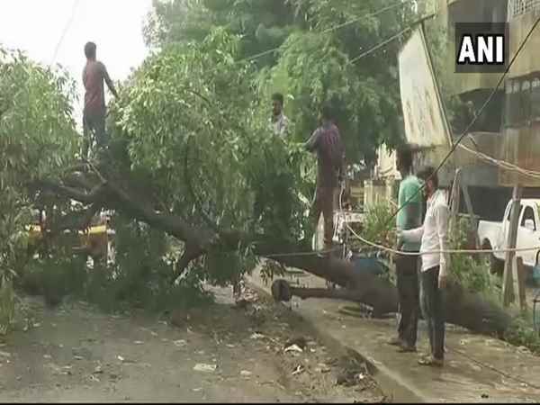 तमिलनाडु में बारिश: आज बंद हैं स्कूल-कॉलेज, अभी भी इलाकों में भरा है पानी