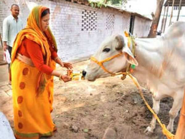 आवास पर राबड़ी कर रही हैं तैयारी
