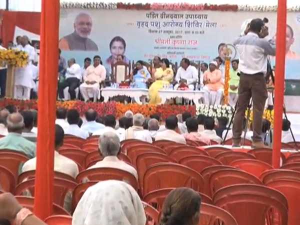 मंत्री की नजर से छिपाने के लिए भैंस को ढंका