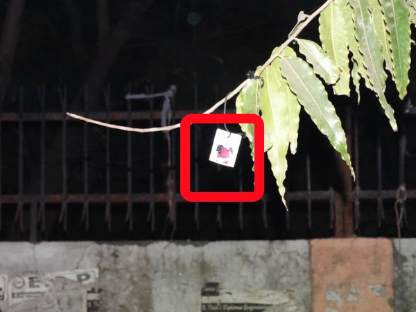 मैंने फोटो भी टांग दी