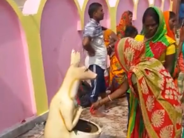 तेजी से वायरल हो रहा है वीडियो