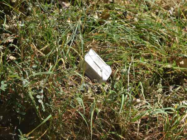 पाक का दावा- 'LOC पार आया भारतीय ड्रोन,पाक सैनिकों ने गोलीबारी कर गिराया'