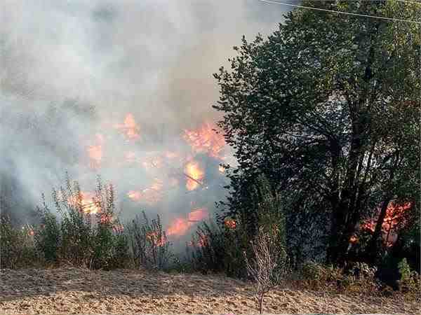 Many housed in village burnt down in Shimla, Himachal Pradesh Many housed in village burnt down in Shimla, Himachal Pradesh