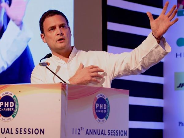 Rahul Gandhi says I believe in destiny when asked will he get married Rahul Gandhi says I believe in destiny when asked will he get married