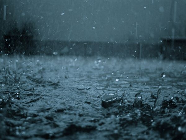 Eleven people died in Maharashtra after heavy rain