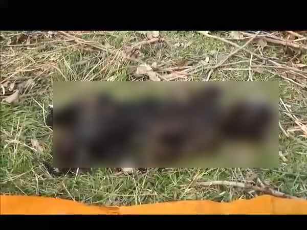 पुलिस ने अधजली लाश को कब्जे में लिया पुलिस ने अधजली लाश को कब्जे में लिया