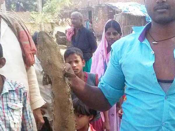 अजीबोगरीब मछली ने ली जान