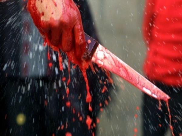 चाकू को झाड़ी में छिपाकर भागे थे