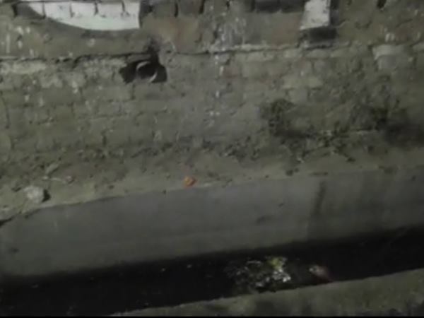 मोपेड सवार को टक्कर से उड़ाया