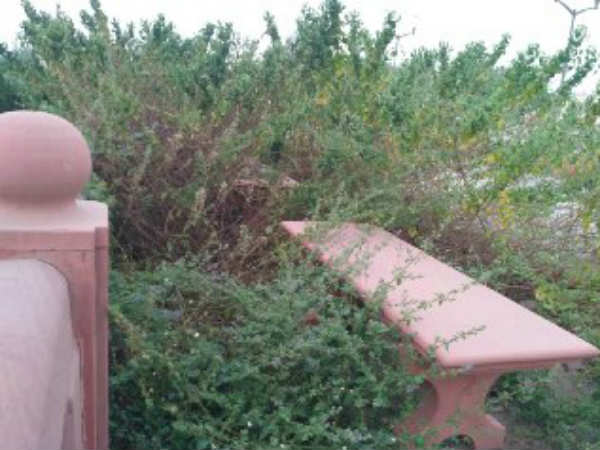 उपमुख्यमंत्री के पास है लोक निर्माण विभाग उपमुख्यमंत्री के पास है लोक निर्माण विभाग