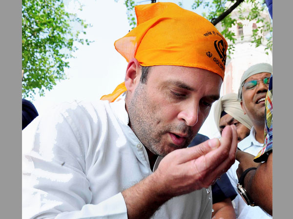 राहुल का राजनीतिक सफर