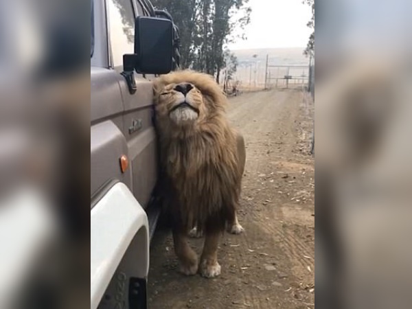 पहली नजर का प्यार है ये!