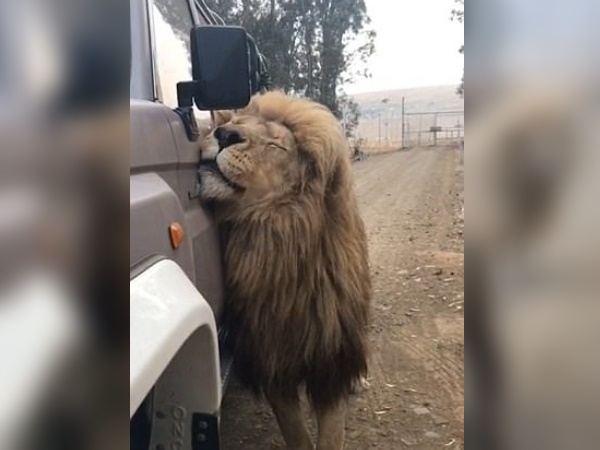 एक पल भी दूर जाने को नहीं तैयार