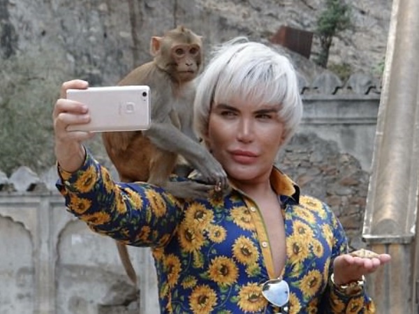 जब बंदर ने कर दी ये हरकत जब बंदर ने कर दी ये हरकत