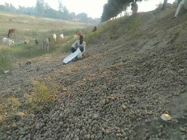 मजबूर किसान मजबूर किसान