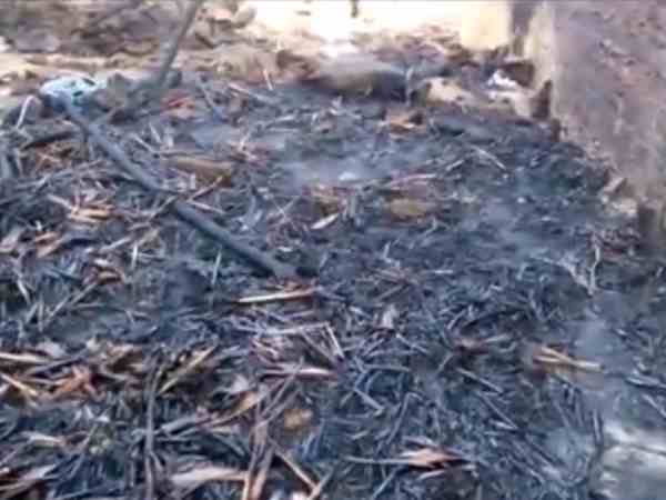 इस तरह लगी आग