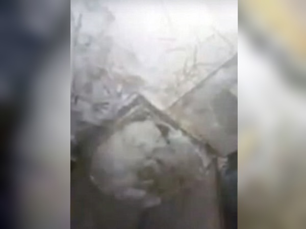 मालिक के खिलाफ कार्यवाई की मांग