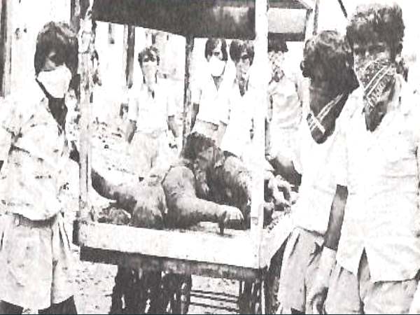 'मरे हुए जानवर और महकती इंसानियत' 'मरे हुए जानवर और महकती इंसानियत'