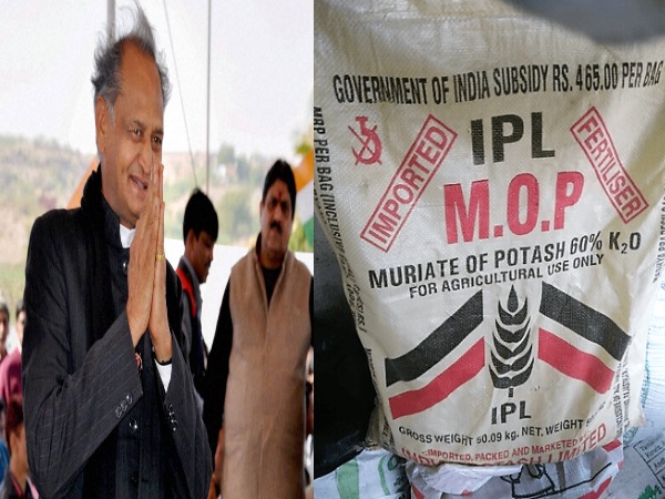 अशोक गहलोत के भाई का फर्टिलाइजर घोटाले में आया नाम, राहुल की 'किसान पॉलिटिक्स' को झटका