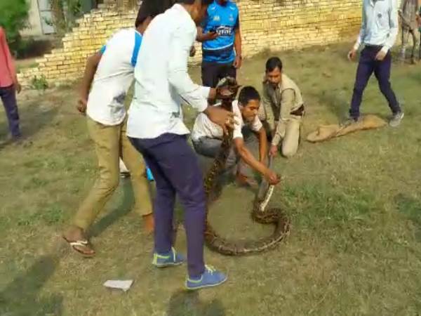 Muzaffarnagar seeing Python in school student got afraid
