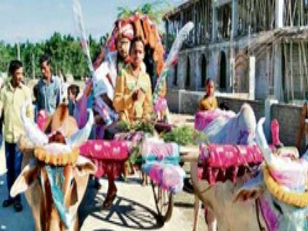 Inspired by the campaign of Nitish, dont ask dowry, groom on bullock cart in Bihar Inspired by the campaign of Nitish, dont ask dowry, groom on bullock cart in Bihar