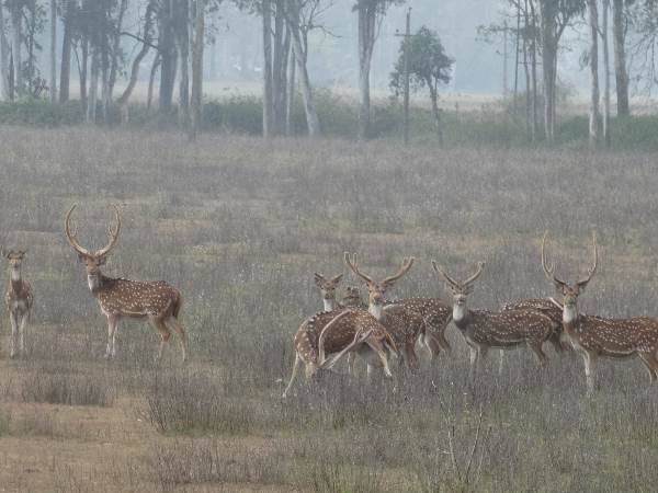 Katarniya Ghat Sanctuary opens with new facilities in Baharaich Katarniya Ghat Sanctuary opens with new facilities in Baharaich