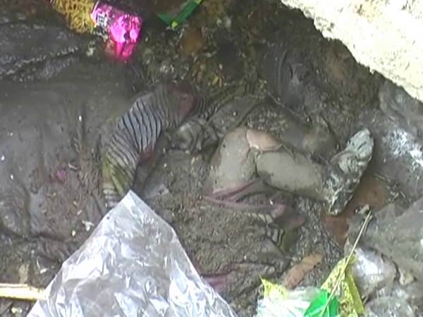 kanpur Newborn baby found in the gutter kanpur Newborn baby found in the gutter