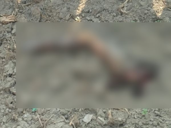 Bhadohi explosive blast one dead Bhadohi explosive blast one dead